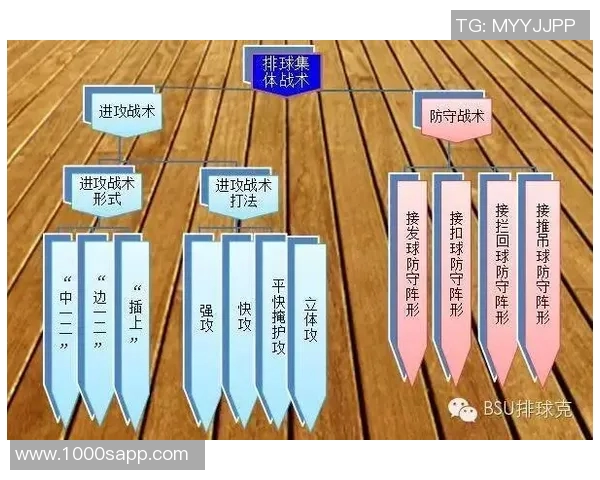 杭州排球队的转换打法深度分析与战术解读